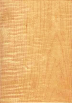 Natural: OCS-100 on Br Maple