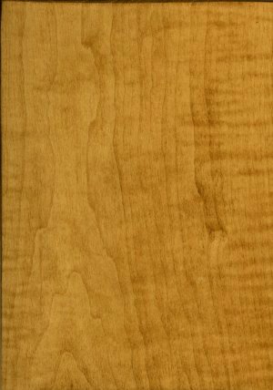 Seely: OCS-104 on Br Maple
