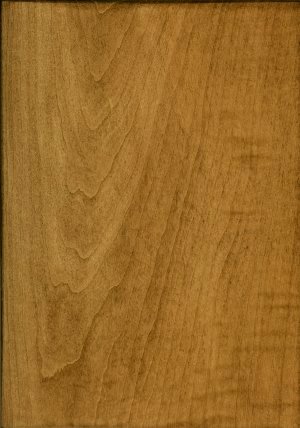 S-12: OCS-109 on Br Maple