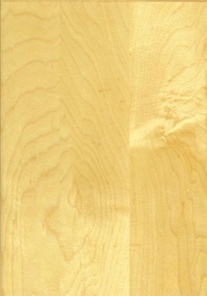 Natural: OCS-100 on Hard Maple